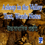 Textual Grammar of the poem ‘Asleep in Valley’ for HS 2023